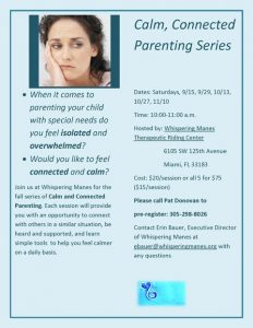 Calm Parenting Workshops